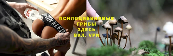 apvp Алексеевка