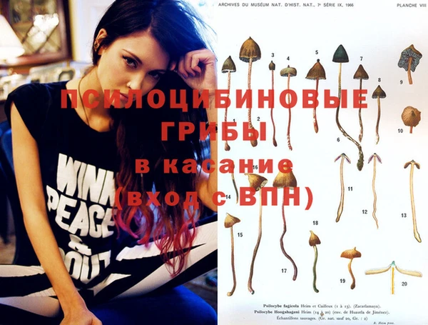 мдпв Алзамай