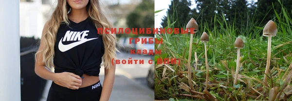 apvp Алексеевка