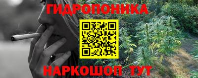 тгк Новозыбков