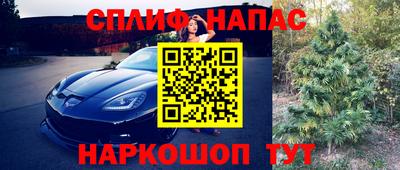 jwh Новодвинск