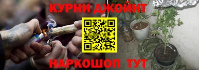 тгк Новозыбков