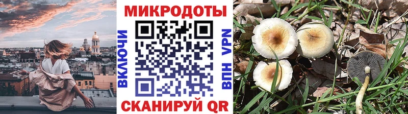 Псилоцибиновые грибы мухоморы  закладка  Павлово 