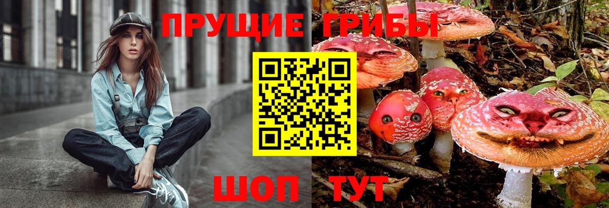 Павлово  Псилоцибиновые грибы GOLDEN TEACHER  Вход с VPN  Галлюциногенные грибы Magic Shrooms 