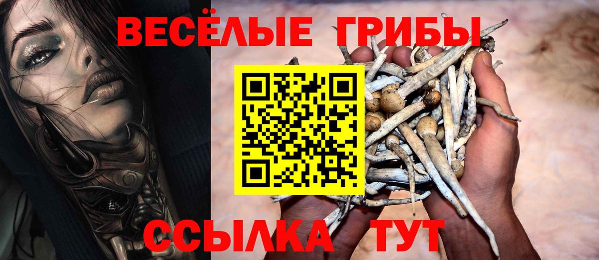 Павлово  Галлюциногенные грибы Psilocybine cubensis  Вход с VPN  купить наркотики цена  Галлюциногенные грибы мицелий 